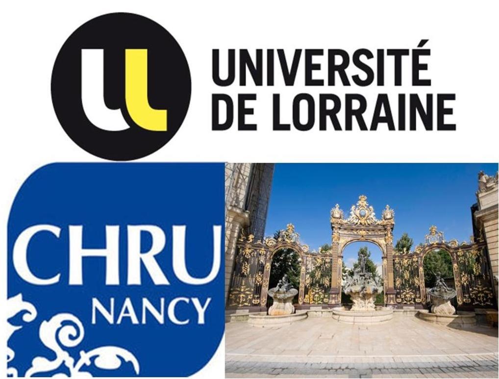 Nancyroom Vandoeuvre-les-Nancy Ngoại thất bức ảnh